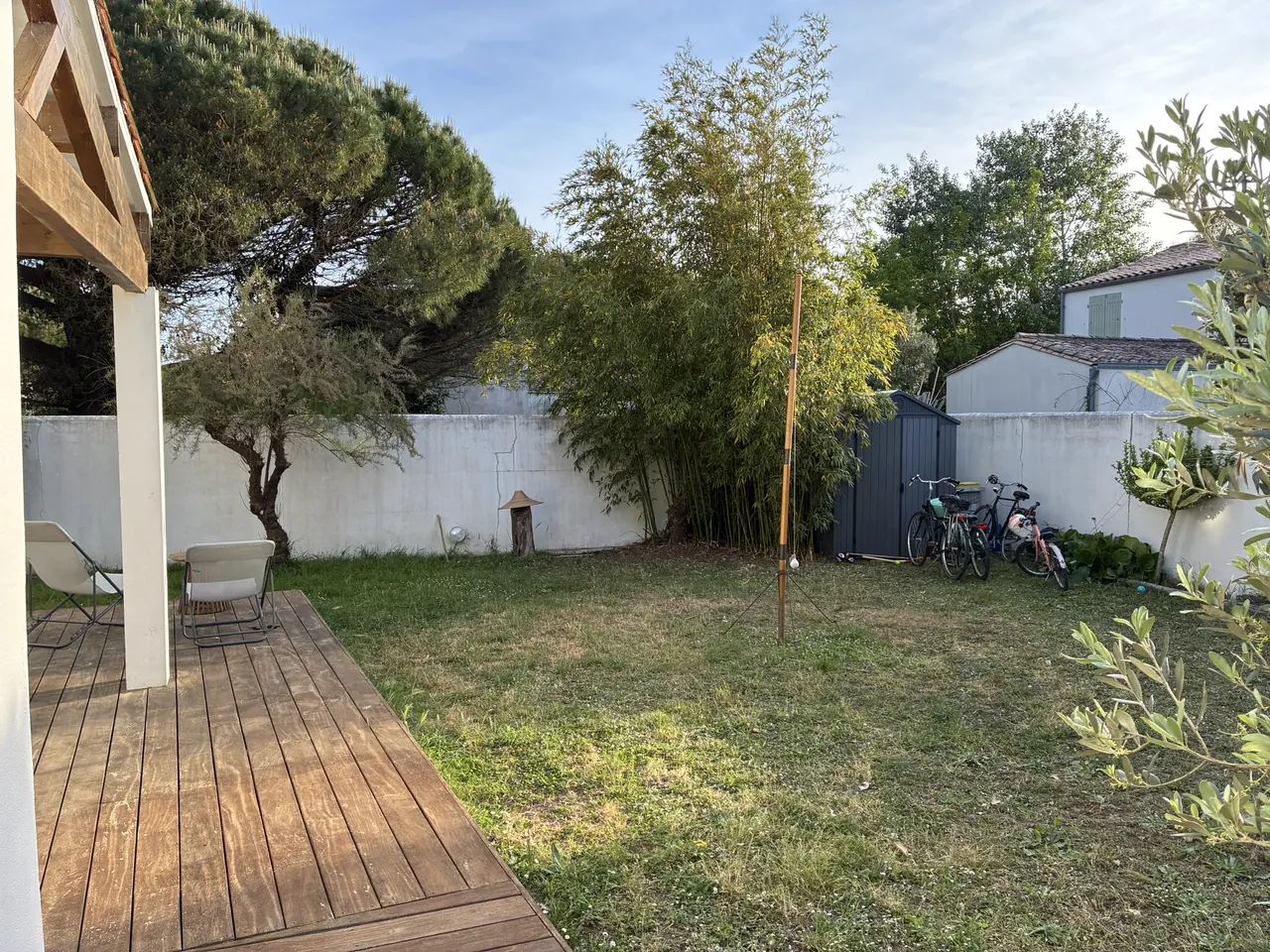 Le fond du jardin clos, pins, bambous et olivier